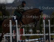 Cantlena FZ Tosc Tour2013- S5 1804 : Arezzo, Cantlena FZ, Cavalli d'Italia, Toscana Tour 2013, foto di Stefano Secchi ©